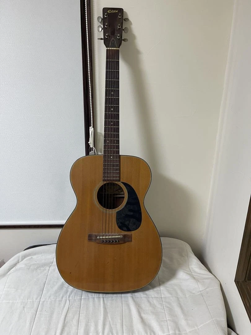 Takamine Electric Guitars for sale | eBay
