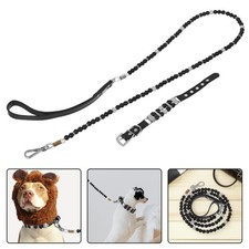 Puppy Leash and Collar Set Dog with Buckle Walking Traction Rope