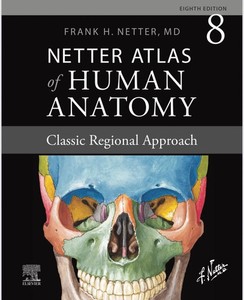 Netter Atlas | eBay
