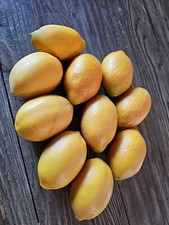 10 Lemons Fake Faux Fruit Realistic Artificial Pieces