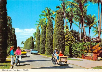 Wells Road Palm Beach Florida John Hinde Original Photo Vtg 6X4 Postcard CP432