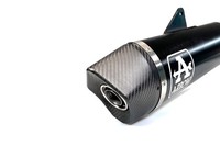 Arrow Auspuff Maxi Race Tech FüR BMW F850GS 2018-, Aluminium, Schwarz
