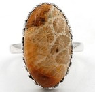 Natural Fossil Coral 925 Solid Sterling Silver Ring Jewelry Sz 7.5 @9-2 — photo 1