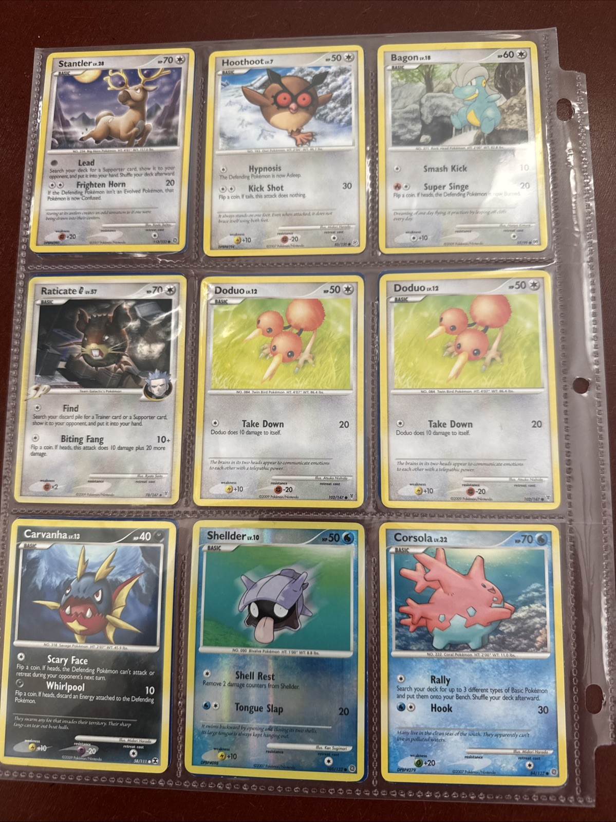 POKEMON 9 CARD LOT W/ SHELLDER FOIL
