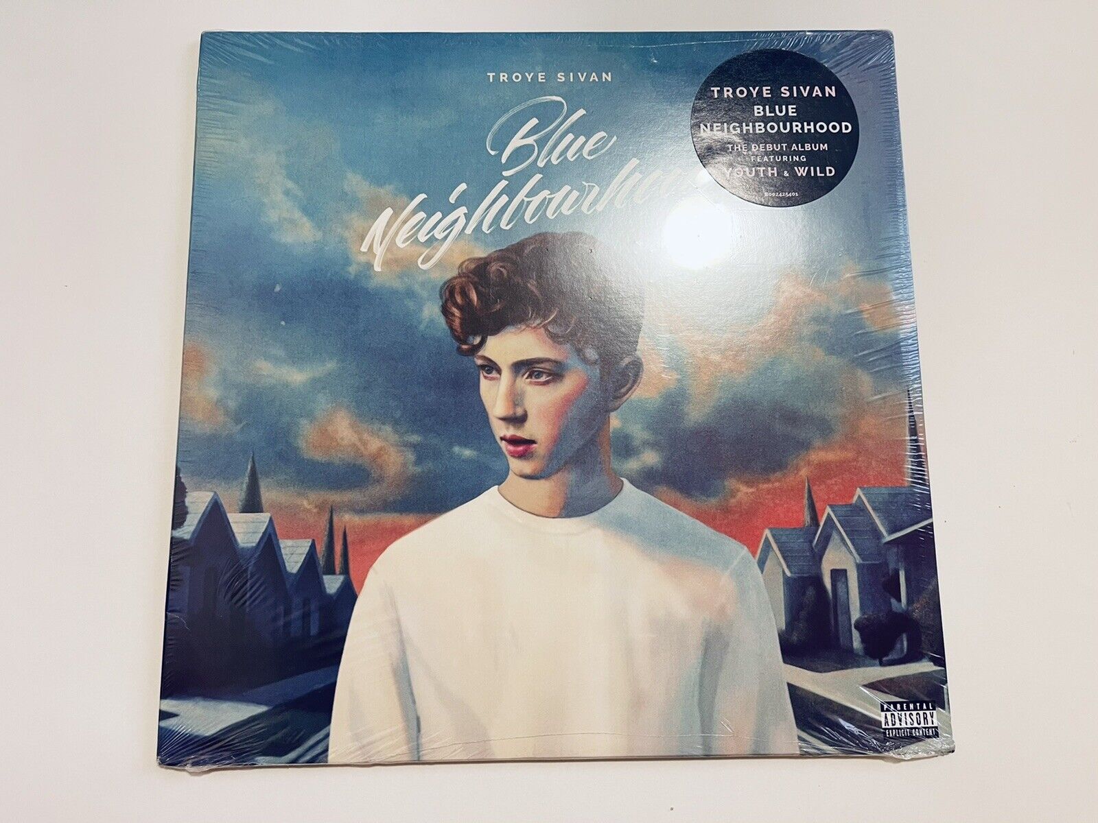 Troye Sivan Blue Neighbourhood Vinyl Limited - Young Vinyl