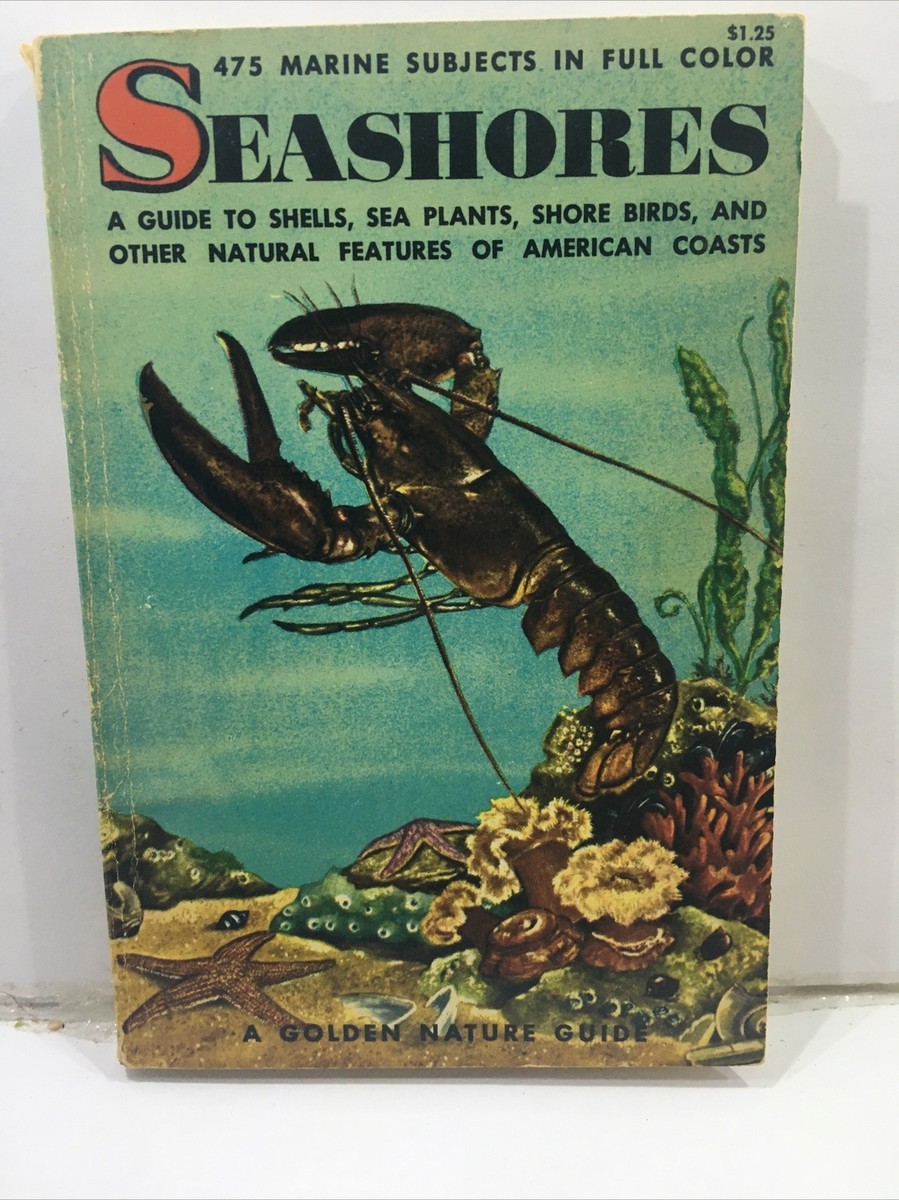 Seashores Herbert Zim (1955, Paperback)