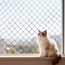 10x13ft Cat Netting Balcony, Steel Wire Reinforced Balcony Screen for Pets - ...