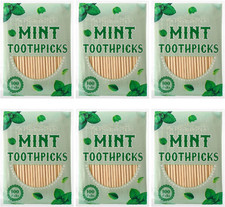 600 Pcs Mint Flavor Toothpicks Bulk Natural Wood Flavored Cinnamon Toothpicks fo