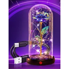 Birthday Gifts for Women Mom Rechargeable Galaxy Glass Roses Forever Preserve...