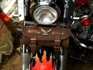 yamaha stryker hard bolsas
