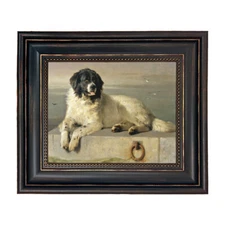 A Distinguished Member of the Humane Society by Sir Edwin Landseer 