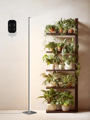 Standing Grow Light with Auto-Timer, 36W Vertical Grow Lights for Indoor Plan...
