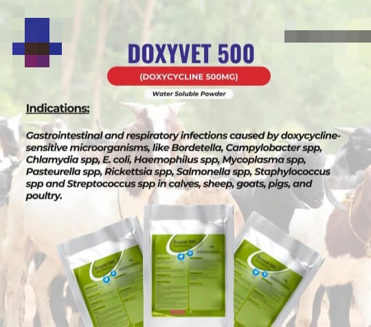 200 Grams Doxycycline For Chickens(Broilers,Breeders) and Turkey
