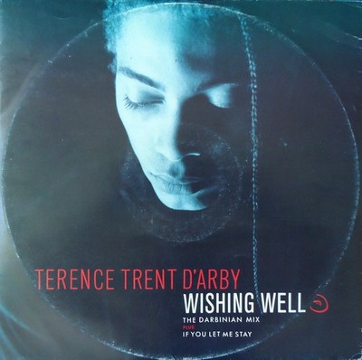 Terence Trent D'Arby - Wishing Well The Darbinian Mix - Used Vinyl  - Y5826z