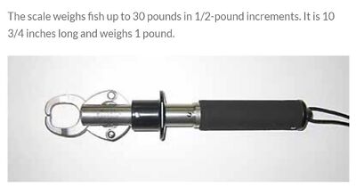 Easta Boga Grip Fish Handling Tool 30lb (1300) | eBay Easta Boga Grip Fish Handling Tool 30lb (1300) | eBay