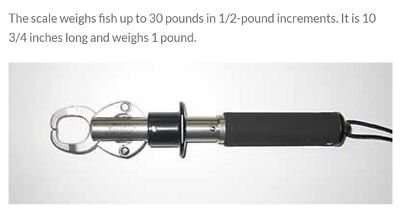 Easta Boga Grip Fish Handling Tool 30lb (1300) 758493001300 for sale online