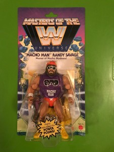 WWE Masters Of The Universe MACHO MAN RANDY SAVAGE 2020 Wrestling Action Figure 887961838459 | eBay