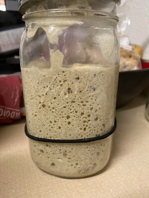 San Francisco dried SOURDOUGH STARTER San Francisco culture tangy sour fresh
