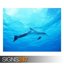 DOLPHIN poster in beautiful deep blue sea animal print art for home wall decor