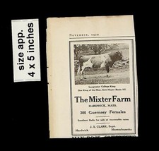 1920 The Mixter Farm Guernsey Cow Females Cattle Vintage Print ad 015280