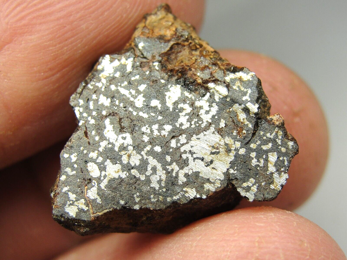 NWA 8291 Achondrite Mesosiderite Meteorite - G509-0004 - 5.37g