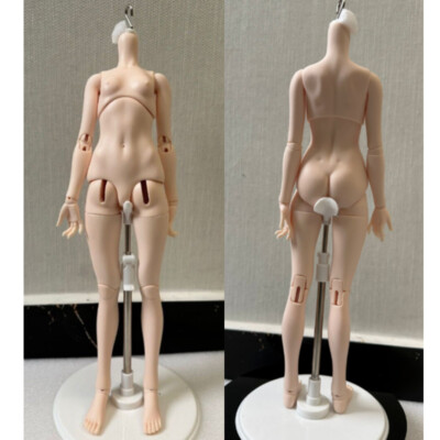 1/4 BJD Doll B73 Female Girl Resin Jointed Body -Only Body (No head)Bare DIY Toy