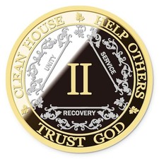 AA Sobriety Coin   Anniversary Chips and Medallions Two Years Two Years