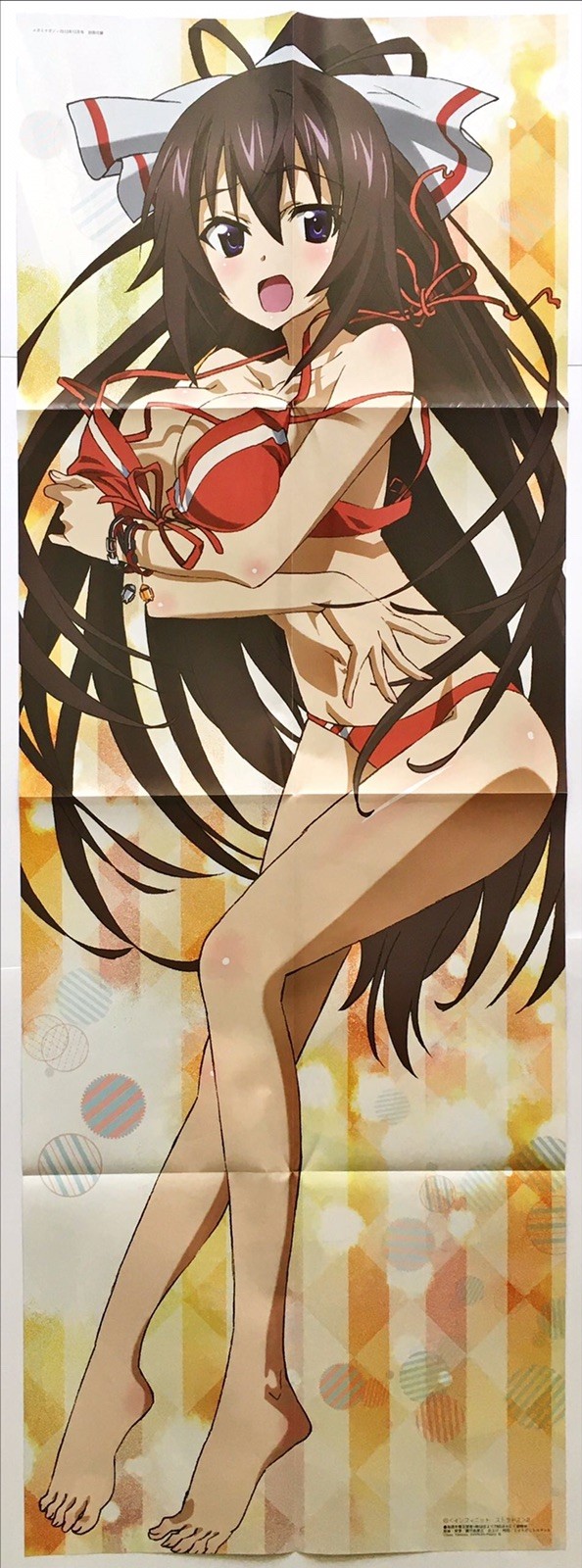 Anime Poster High School DXD & Infinate Stratos Double Sided Large 40.5 x 14.75