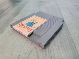 Faxanadu (Nintendo Entertainment System, NES, 1987)