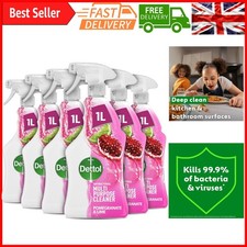 Power & Fresh Pomegranate Disinfectant Spray - Kill 99.9% Germs, Multi-Purpos...