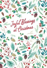 Religious CHRISTMAS Greeting Card, Joyful Blessings Luke Verse by DaySpring +✉