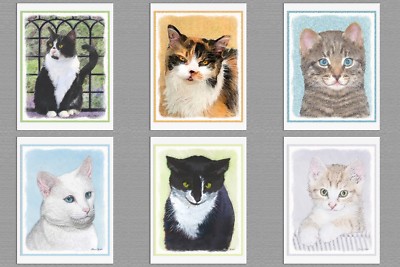 6 Assorted Kitten Cat Blank Note Greeting Cards Tuxedo Calico Orange Tabby White