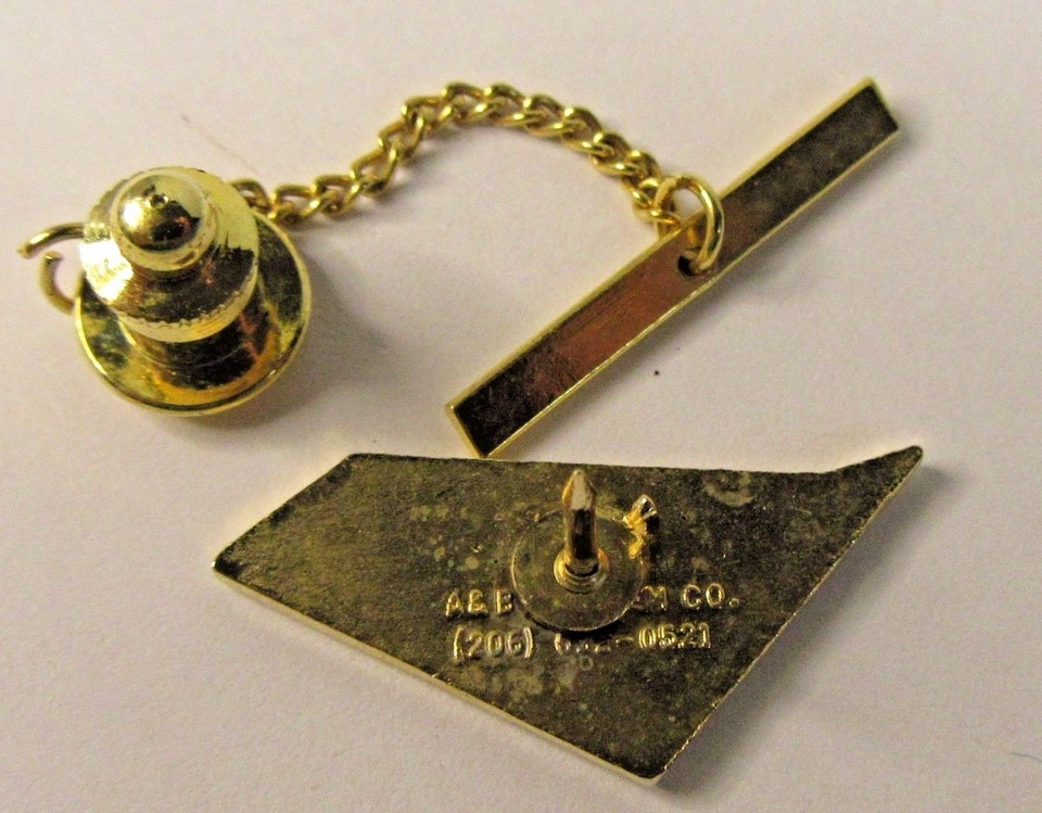 Épingle De Cravate En Œil De Tigre Brun Cabochon Tortue Avec Chaîne - Occasion Vintage