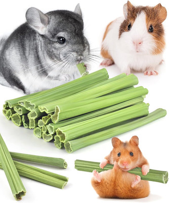 Bissap 25 PCS Guinea Pigs Chew Sticks, Natural Papaya Stems Bunny Chews Treats f