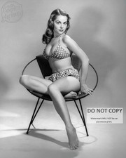 DIANE WEBBER ACTRESS AND MODEL PIN UP - 8X10 PUBLICITY PHOTO PRINT HD