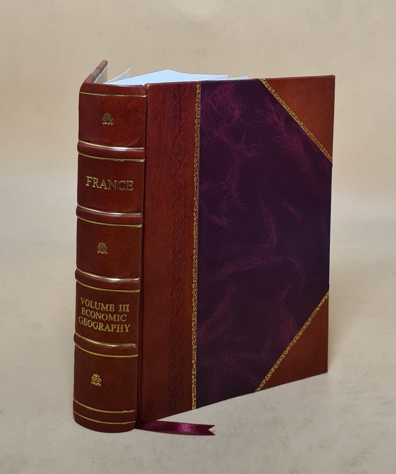 France Volume Vol. 3 1942 by Great Britain. Naval Intelligence D [Leather Bound]