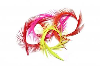 Veniard Goose Biot Strips