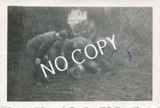 Foto WK2 "Metzgerei" Soldaten schlachten Schwein C1.24
