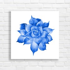 Handpainted Watercolor Sukkulent Drawing Blue Canvas Print Large Picture Wall