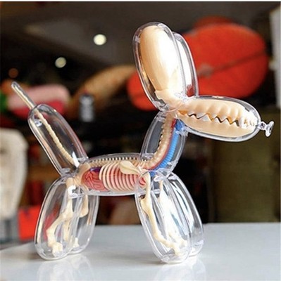 4D Master Jason Freeny Anatomy Transparency Balloon Dog 26PCS Art