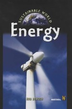 Nachhaltige Welt: Energie - Bowden, Rob