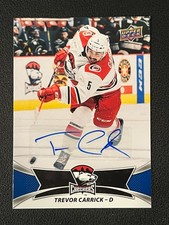 2016-17 Upper Deck AHL Hockey Cards 6