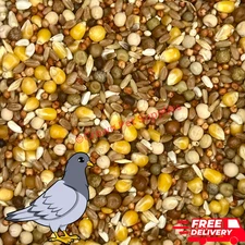 Pigeon Dove Seed Wild Bird Feed Food Birds in Zipper Bag Different Sizes