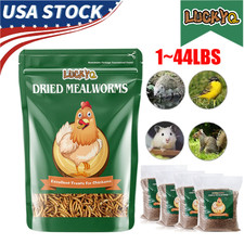 Lot High-Protein Bulk Dried Mealworms Non-GMO Mealworm Treats for Birds Chicken
