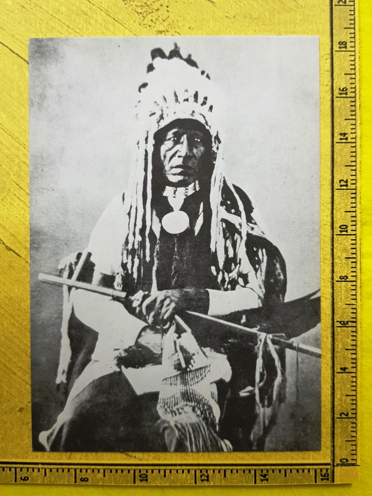 CARTOLINA I GRANDI CAPI INDIANI POSTCARD THE GREAT INDIAN HEADS (ED. LO VECCHIO) - Photo 41 sur 63