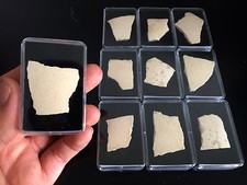 Coquille d'oeuf d'Oiseau Elephant Fossile Bird Eggshell Aepyornis Maximus fossil