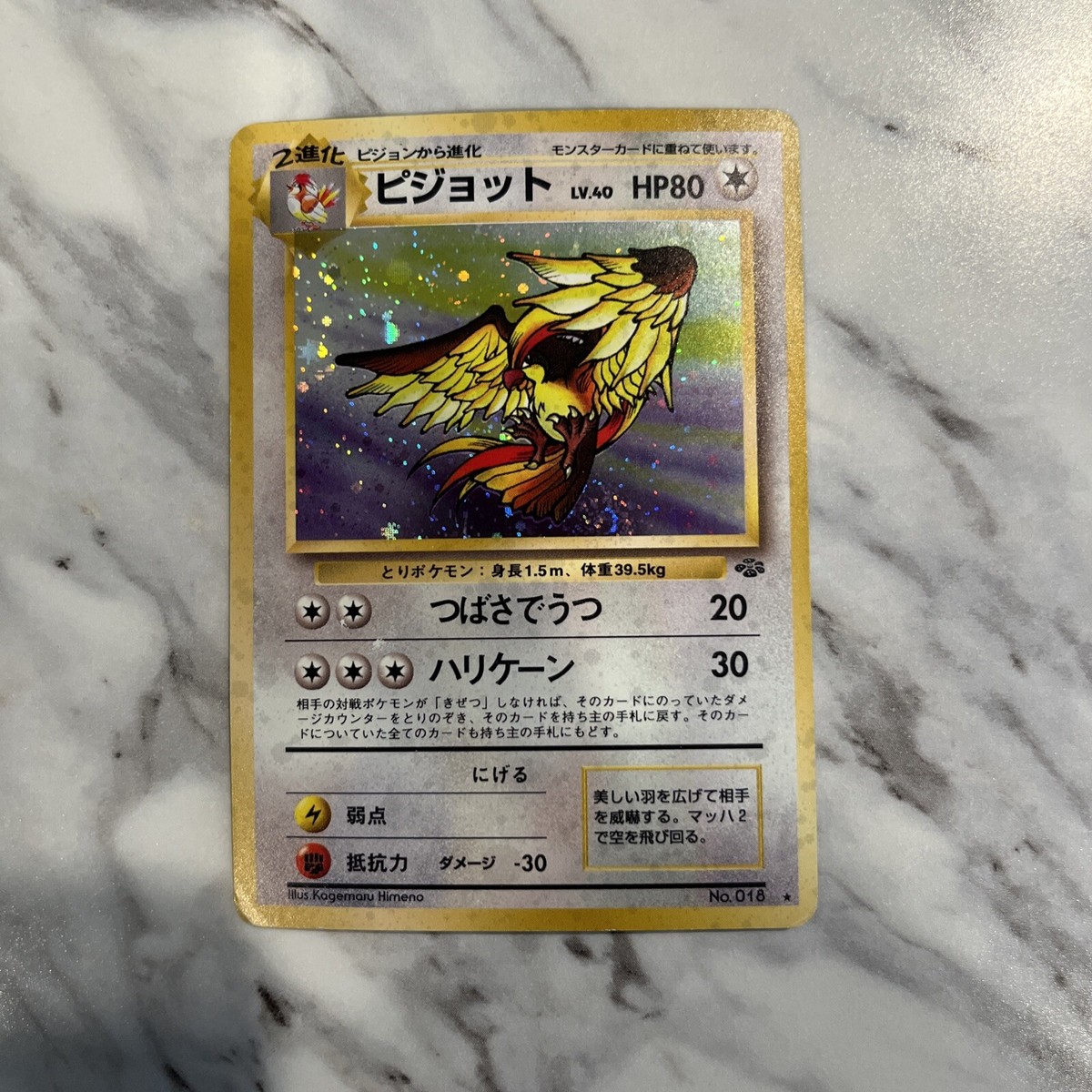Pokemon Card Pidgeot Holo Rare Nintendo Japanese Vintage Old Pokemon Card Pidgeot Holo Rare Nintendo Japanese Vintage Old