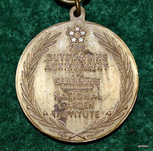 MEDALLA BOY SCOUT MacARTHUR DE COLECCIÓN DE LA SEGUNDA GUERRA MUNDIAL - JARDINERÍA - Imagen 5 de 6