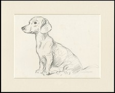 DACHSHUND VINTAGE 1937 DOG ART PRINT by LUCY DAWSON READY MOUNTED