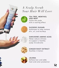 Senegence Deep Cleansing Scalp Scrub with Seneplex+ Full Size Brand New Sealed